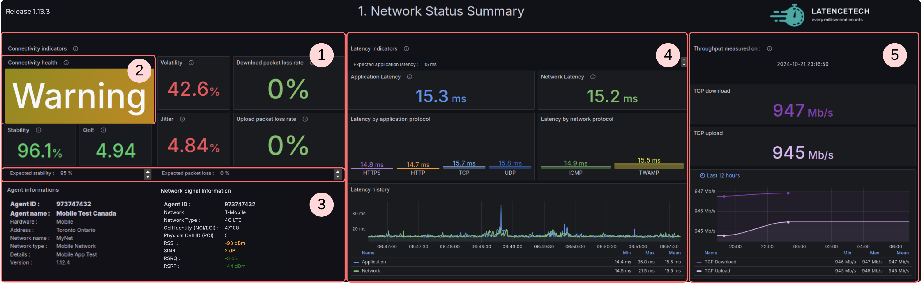 Network Status Summary